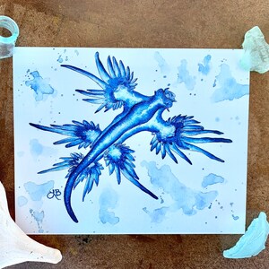 Blue sea slug art print