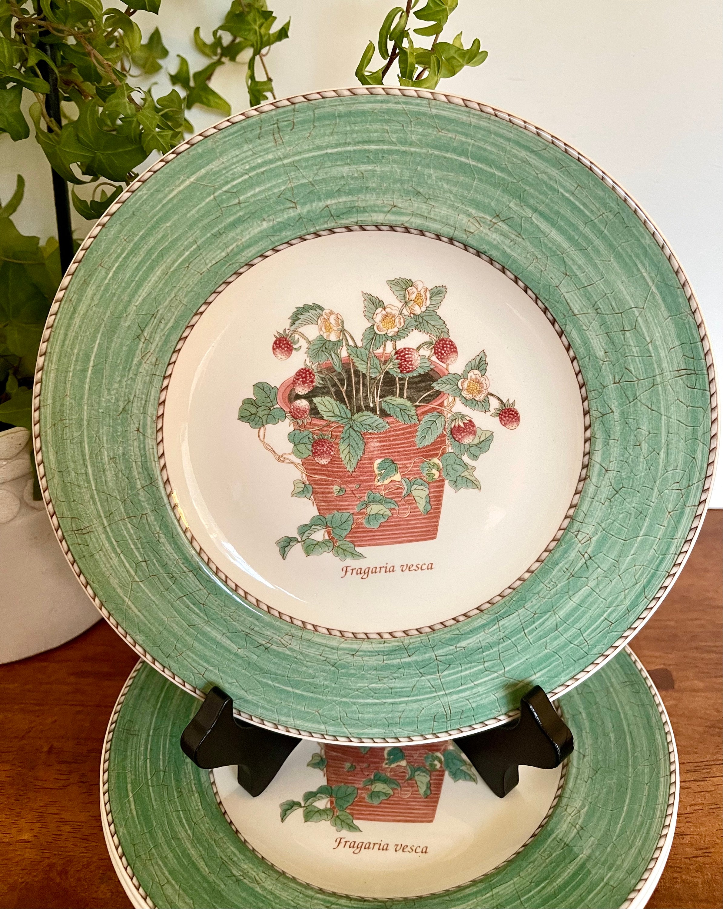 Wedgwood China Queen's Ware Sarah's Garden Plate Fragaria Vesca
