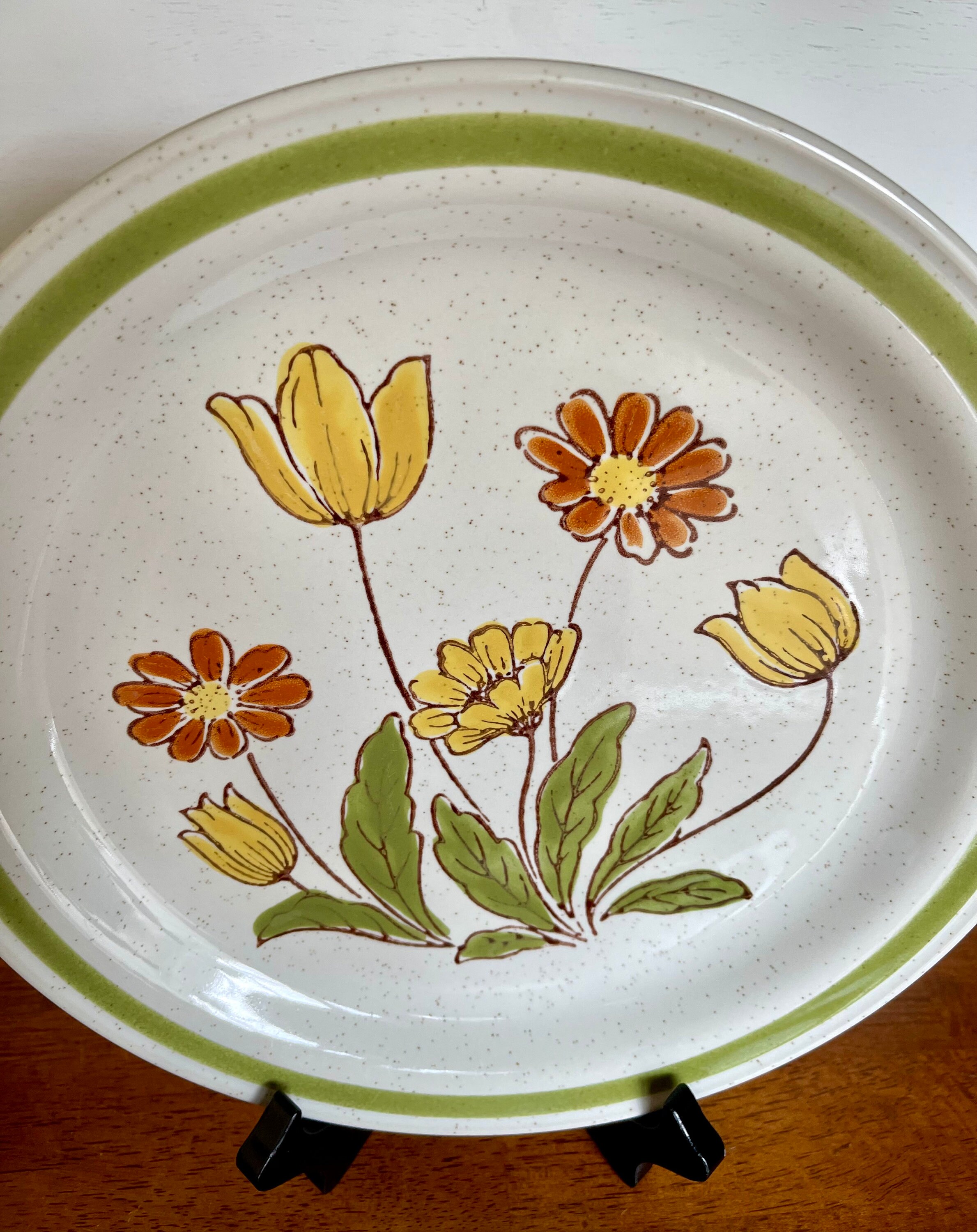 Set of 4 Country Casual “sunnyvale” Hand Painted Stoneware Dinner