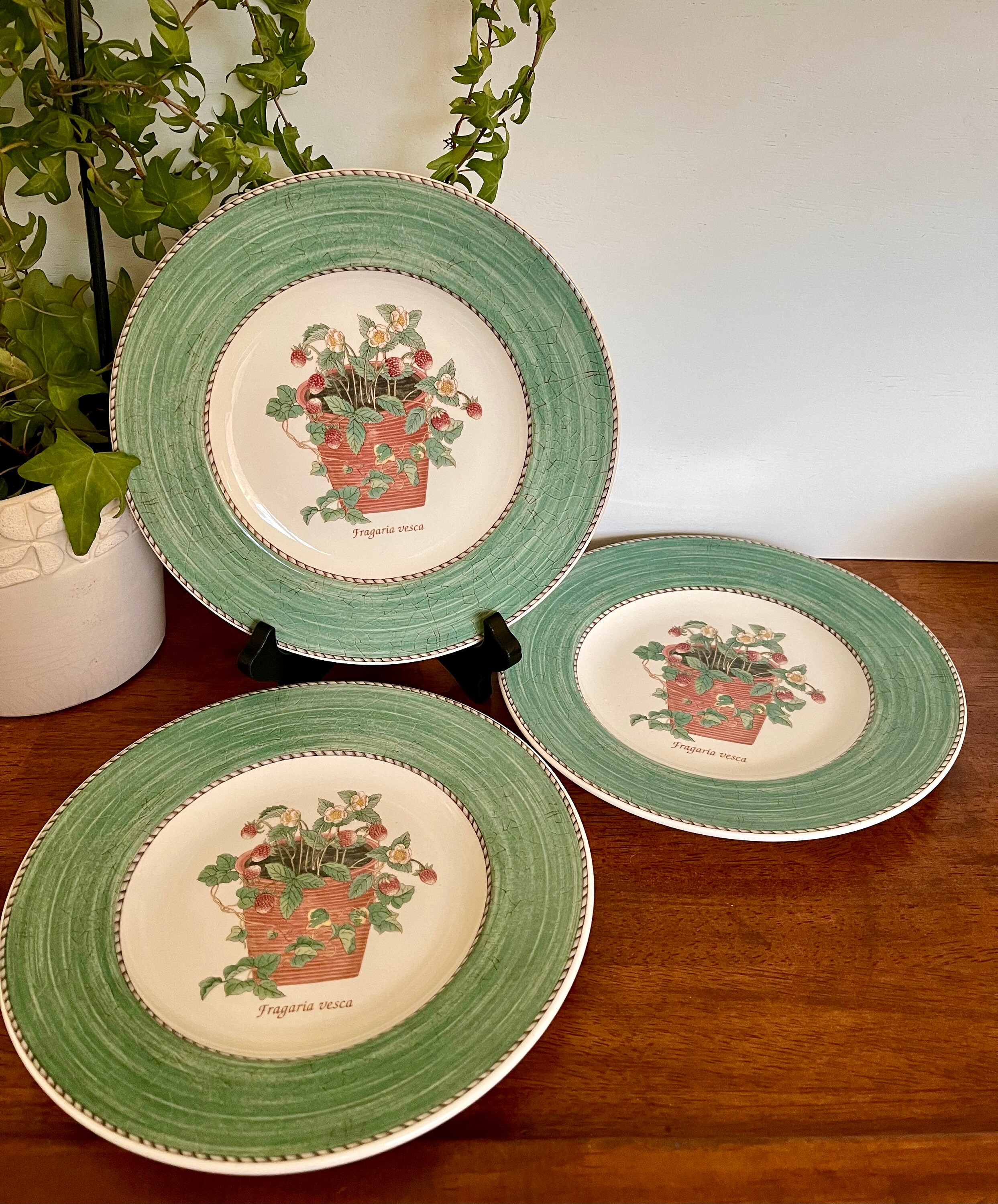 　Sarah's Gardenウェッジウッド 皿　蝶　花　各2枚 WEDGWOOD Sarah's Gardenウェッジウッド 皿 蝶 花 各2枚｜Yahoo!フリマ