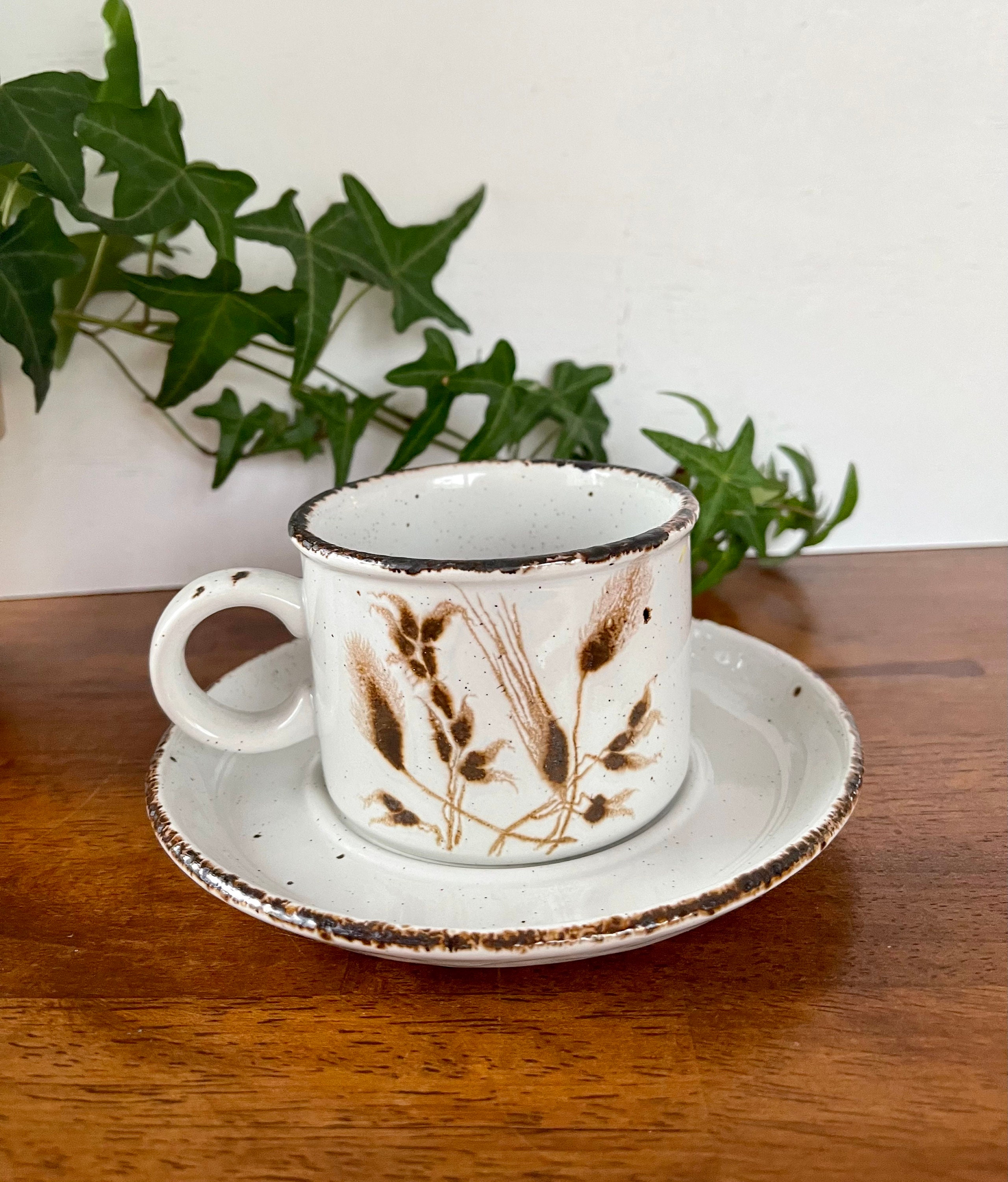 Vintage Midwinter Stonehenge Cup and Saucer: Wild Oats Stoneware