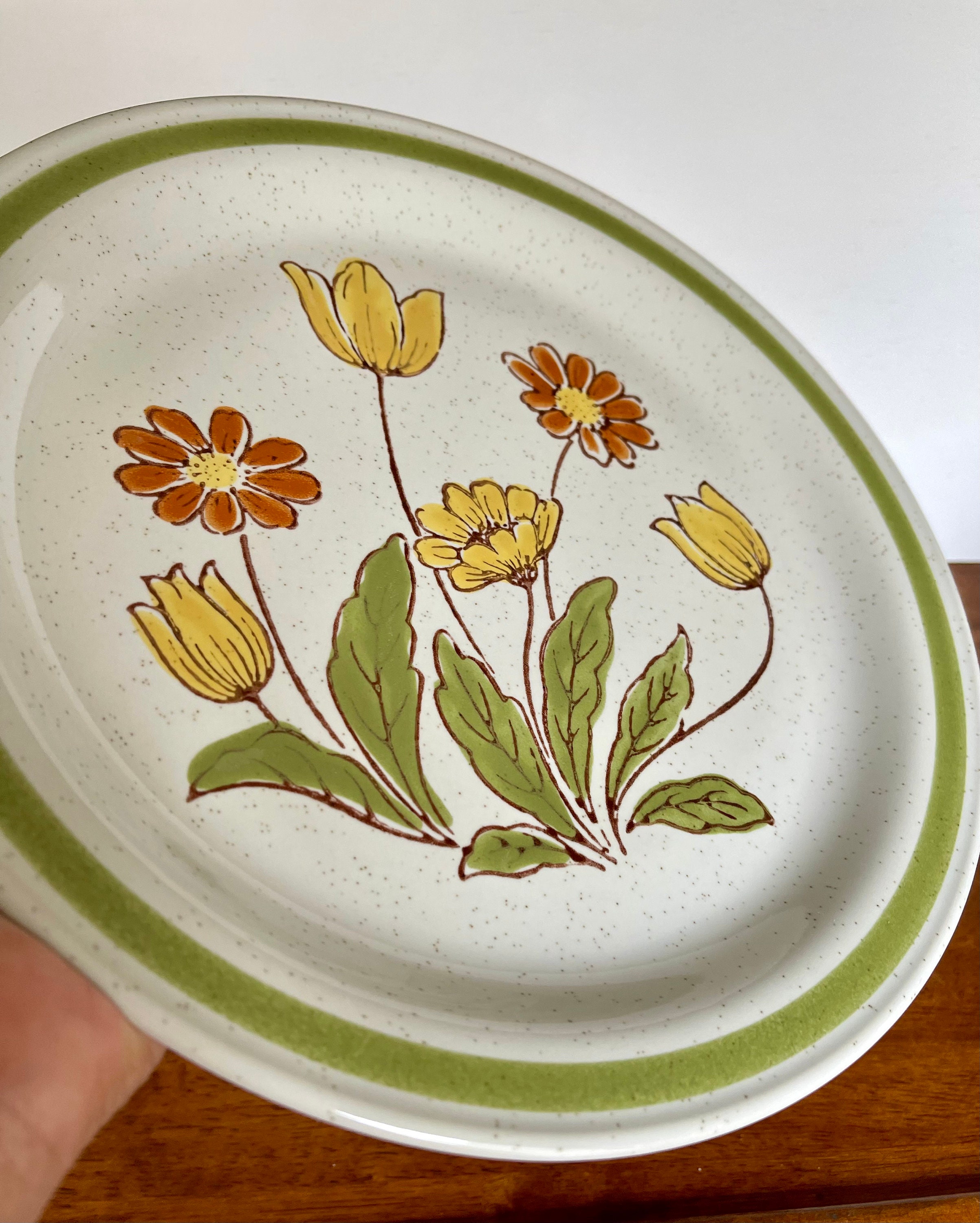 Set of 4 Country Casual “sunnyvale” Hand Painted Stoneware Dinner