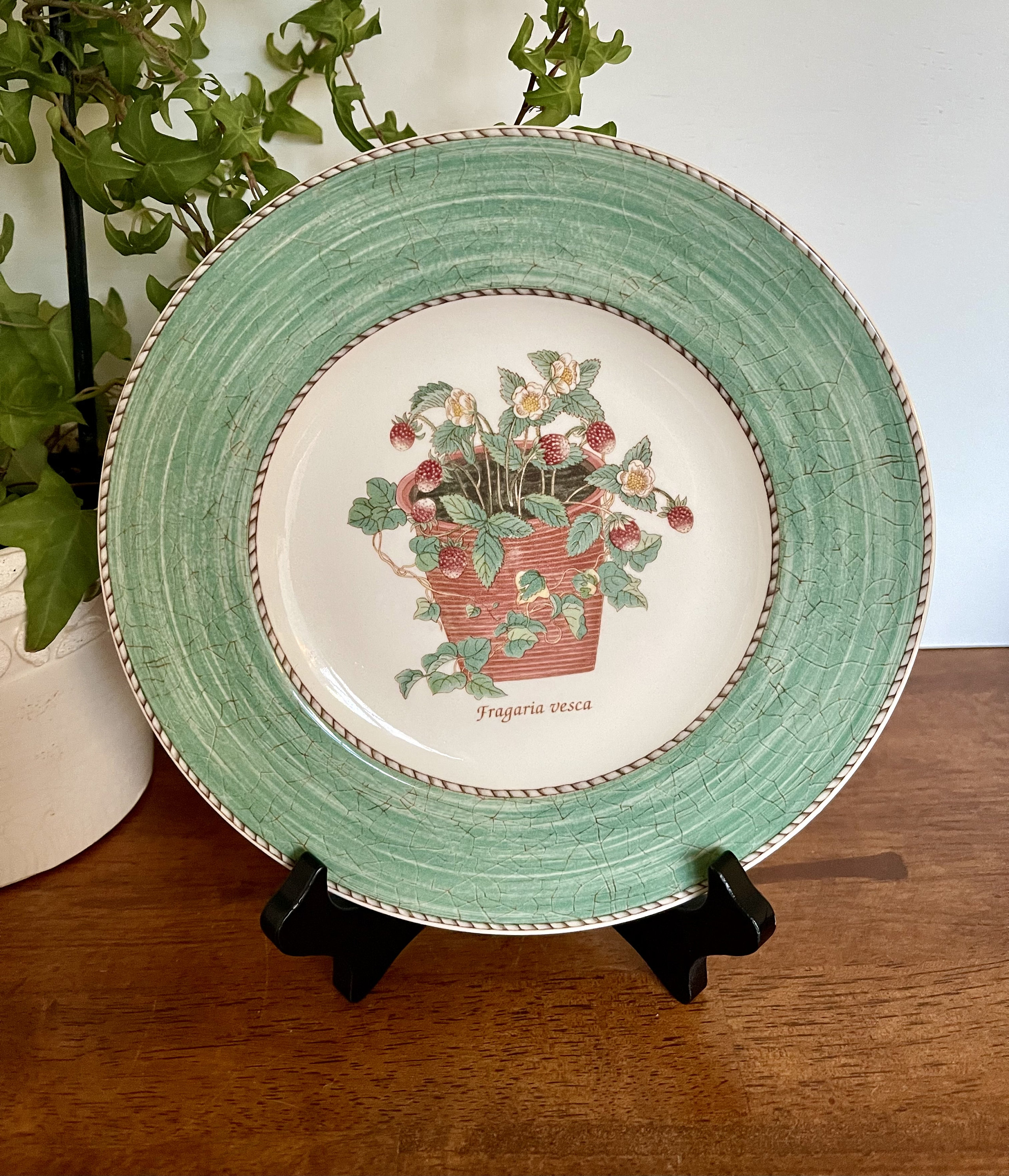 Wedgwood China Queen's Ware Sarah's Garden Plate Fragaria Vesca