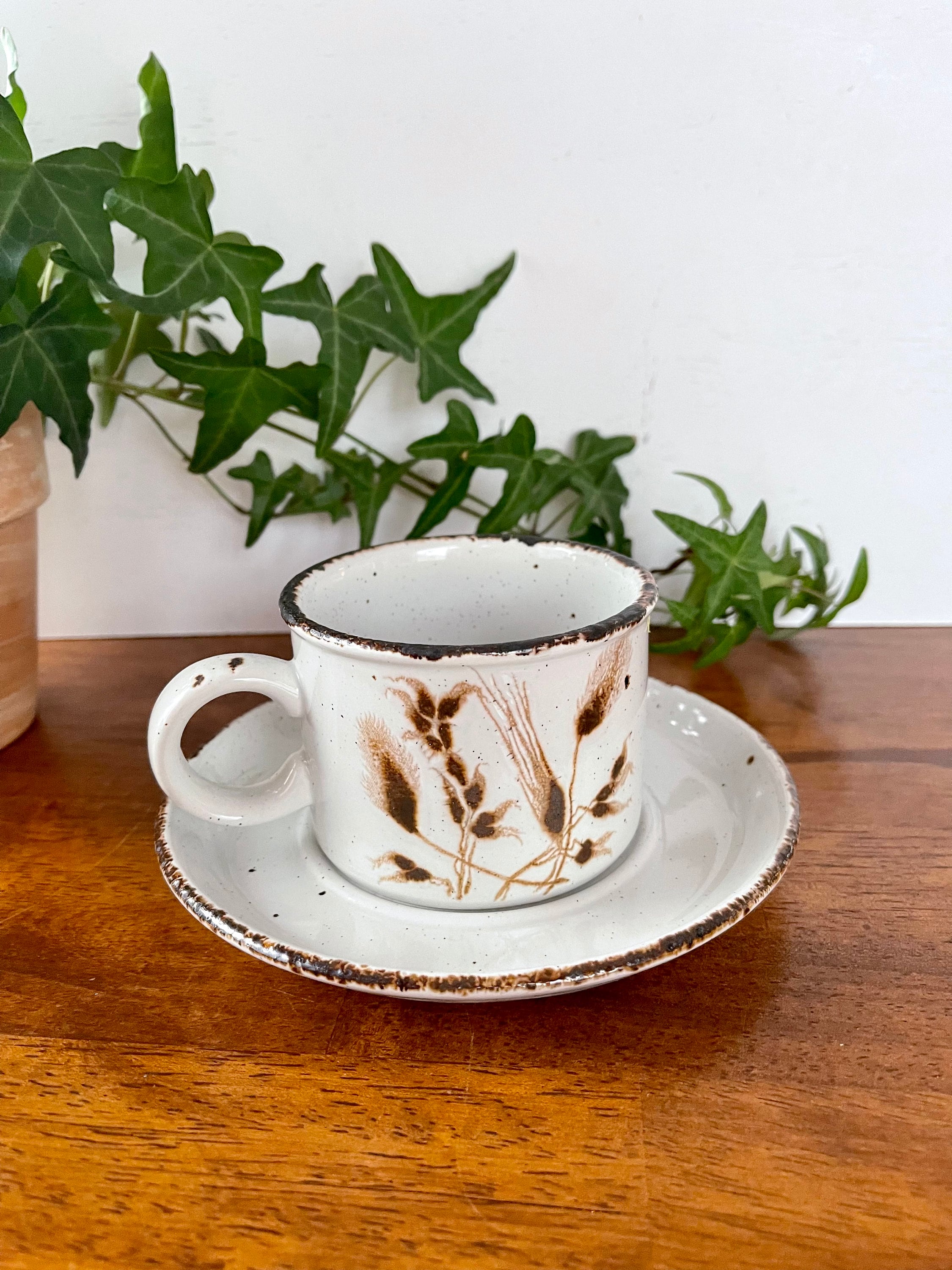 Vintage Midwinter Stonehenge Cup and Saucer: Wild Oats Stoneware