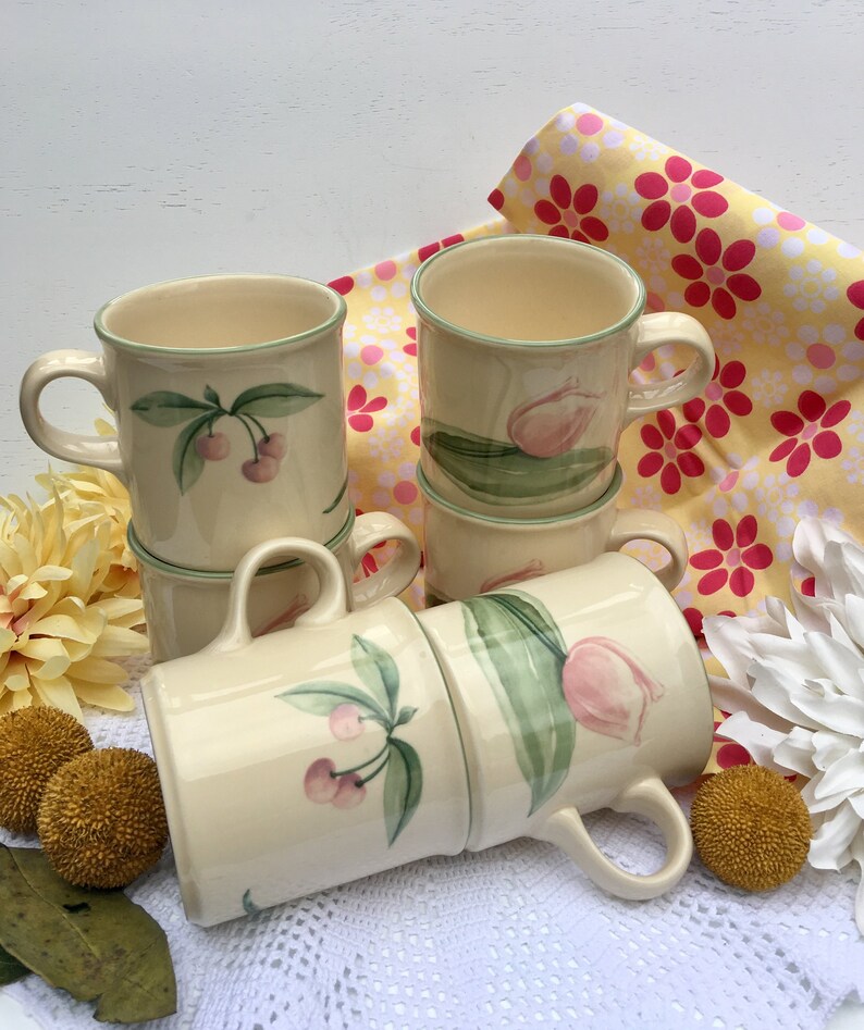 6 Pfaltzgraff Garden Party Stoneware Mugs Vintage Pfaltzgraff Etsy