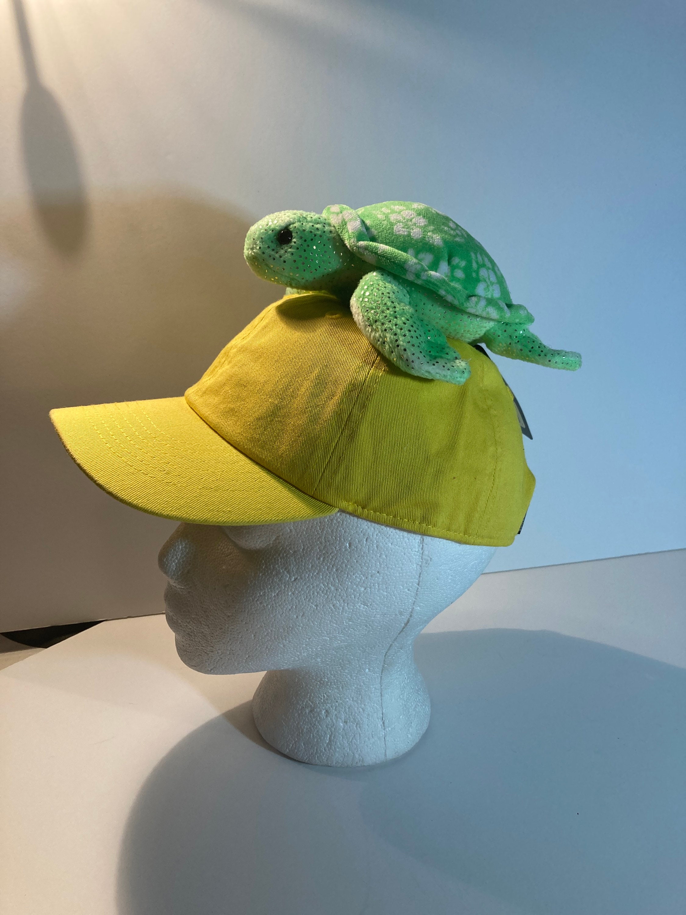 Turtles Wearing Hats