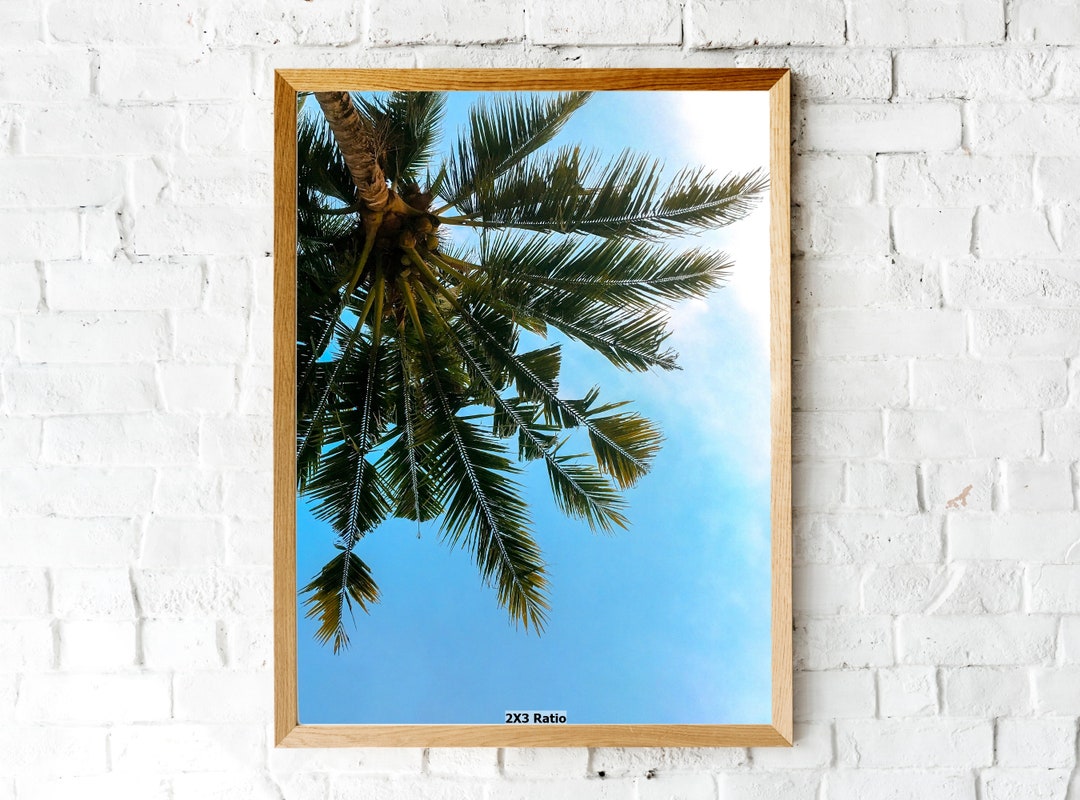 Upside Down Palm Tree Summer Art Nature Digital Download Etsy