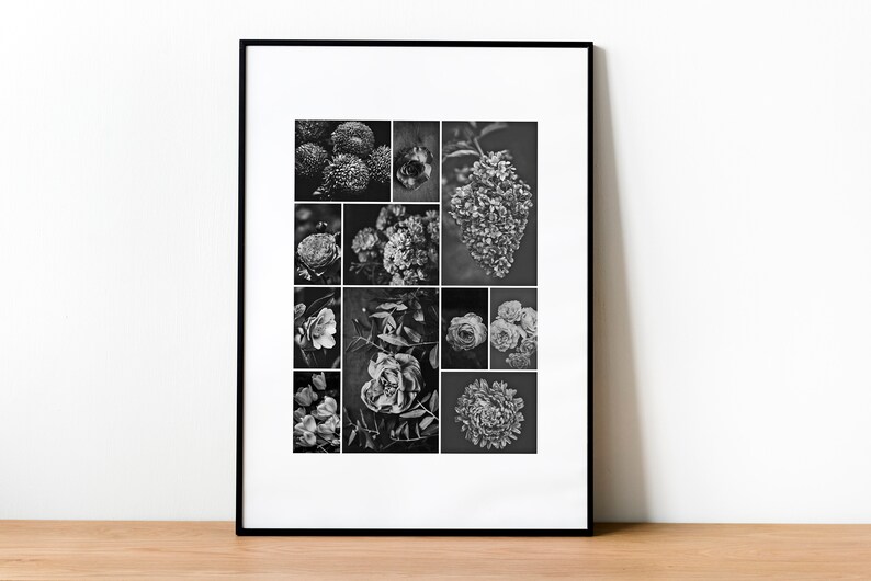 Collage Print Minimal Photo Poster Earthy Hydrangea Natural Flower Collage Home Decor Digital Download Photography Modern Wall Print
