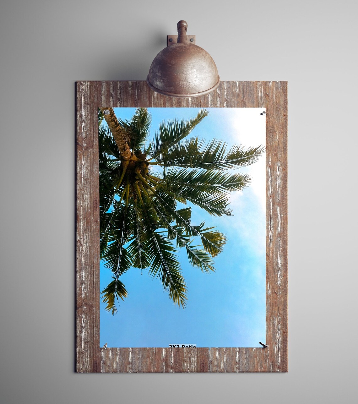 Upside Down Palm Tree Summer Art Nature Digital Download Etsy