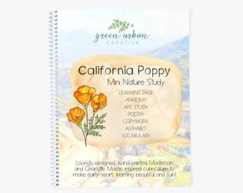 California Poppy Nature Exploration | Printable