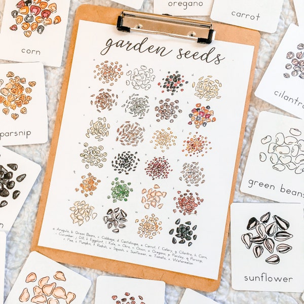 Garden Seeds Flashcards & Mini Poster | Montessori Charlotte Mason Homeschool Nature Study Printables