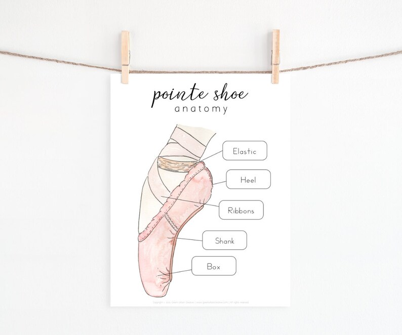 Nutcracker Ballet Unit Study - Etsy