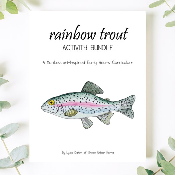 Fish Life Cycle Activity Bundle Etsy