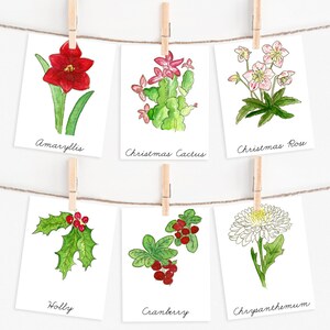 Tarjetas didácticas de 3 partes para la flora navideña, Montessori, educación en el hogar, Adviento