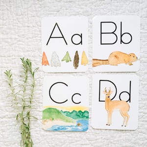 Decoração de sala de aula com banner de alfabeto natural em aquarela