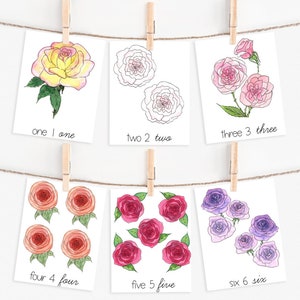 Rose Counting Cards | Montessori Nature Math Printables
