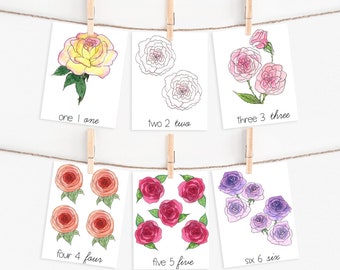 Cartes de comptage de roses | Montessori Nature Math imprimables