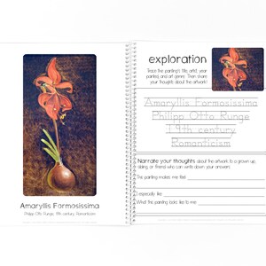 May include: A painting of a red amaryllis flower with a green stem and bulb. The painting is titled "Amaryllis Formosissima" and is attributed to Philipp Otto Runge, a 19th-century Romantic artist.