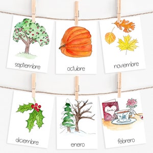 Mois de l'année ESPAGNOL, Meses del Año, programme d'enseignement Montessori à domicile imprimable