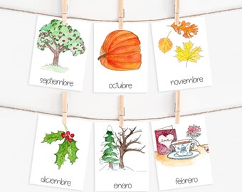 Monate des Jahres SPANISCH, Meses del Año, Homeschool Montessori Curriculum Printable