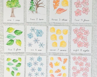 Seasons Counting Cards