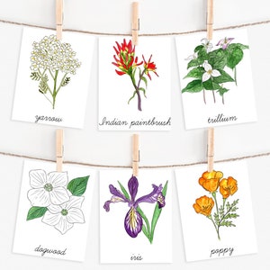 Flores silvestres del noroeste del Pacífico / Imprimible