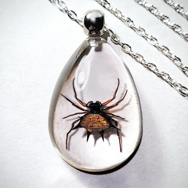 Spider necklace, real insect jewelry, real spiny orb weaver, oddities curiosities