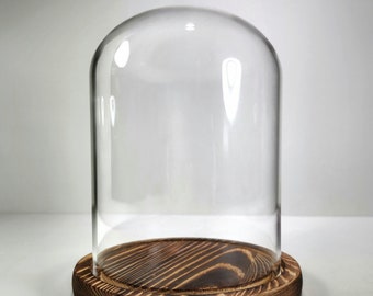 Glass display dome, oddities display case, glass and wood cloche