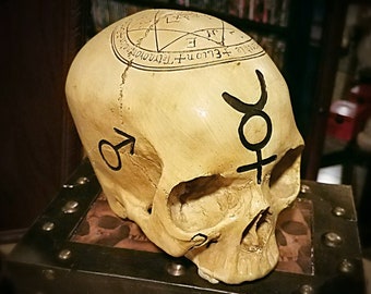 Alchemy skull, pentagram astrology skull, human skull replica