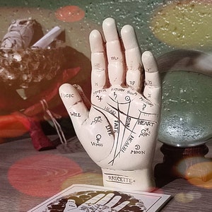 Palmistry hand, oddities curiosities, fortune telling hand