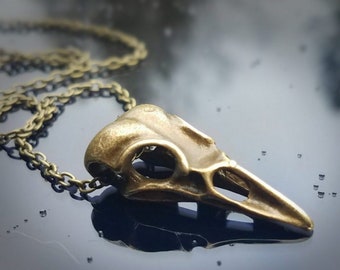 Bird skull necklace, Gothic jewelry, brass raven skull pendant