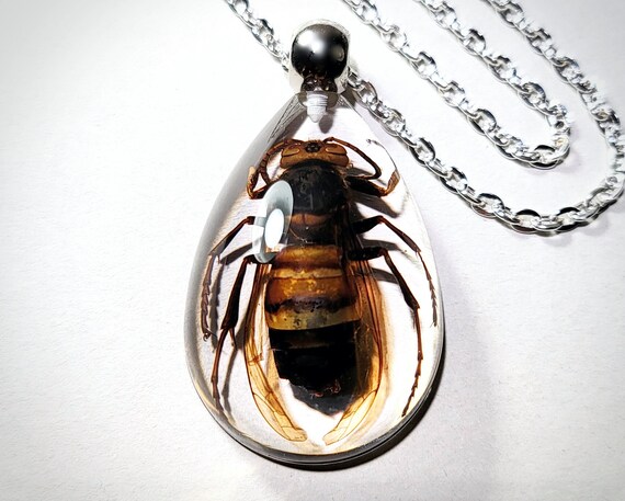 Murder Hornet in Resin Necklace Real Insect Jewelry Oddities