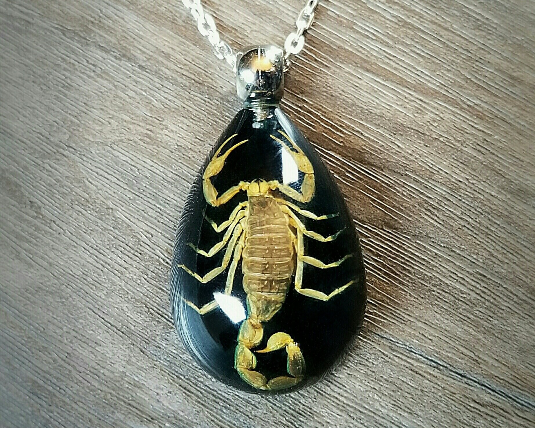 Real Scorpion in Resin Necklace Insects in Lucite Jewelry Etsy Schweiz