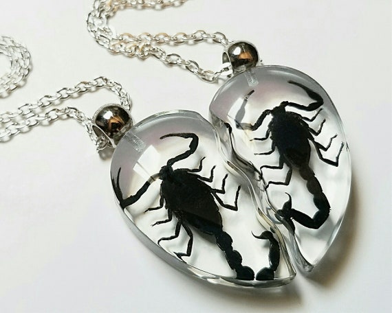 SCORPION 2 PIECE HEART NECKLACE SET — The Strange And Unusual