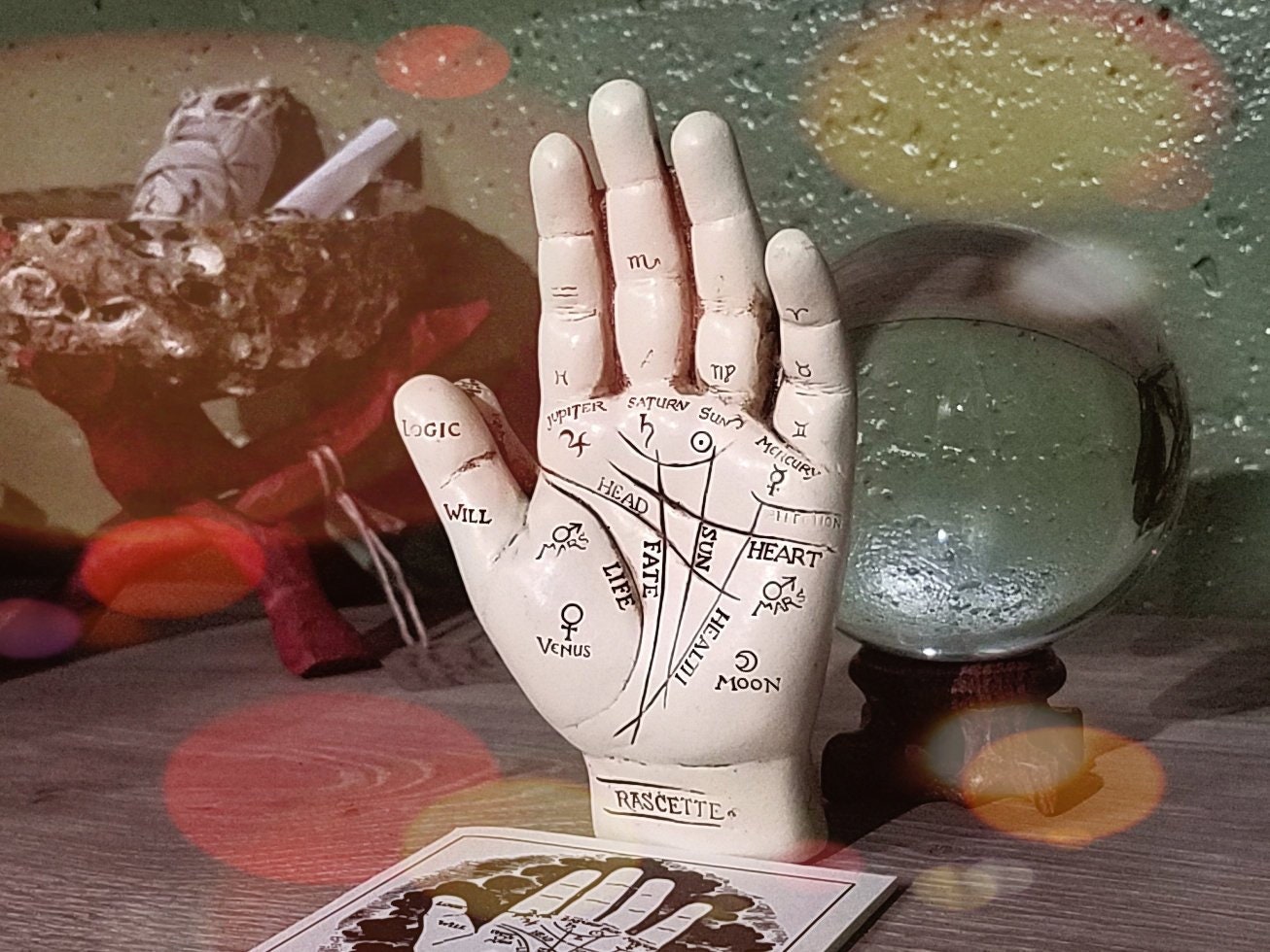 Palmistry Hand Fortune Telling Hand Oddities Curiosities Etsy
