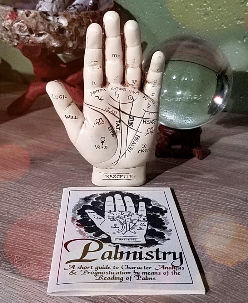 Palmistry Hand Fortune Telling Hand Oddities Curiosities Etsy