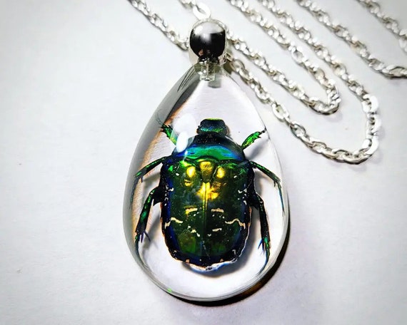 Real insect jewelry deals