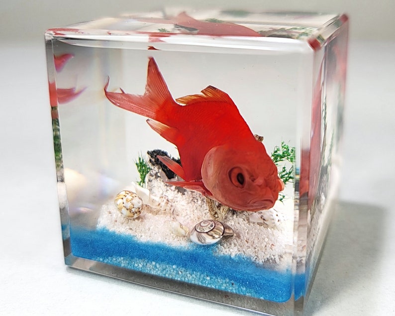 The 5 Best Epoxy Fish Tank Reviews of All Time 3