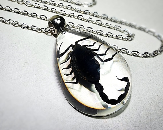 Yellow Scorpion Clear Necklace, Real Insect Jewelry - Oddities For Sale has  unique