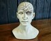 Phrenology Bust, Vintage Medical Phrenology Head, Oddities, Curiosities 