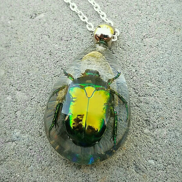 Beetle in resin necklace, real insect jewelry, oddities curiosities