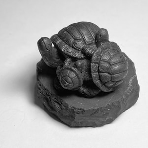 Shungite Turtles Crystal Carving