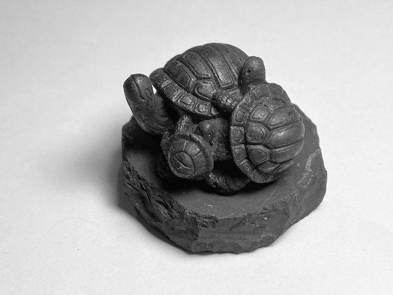 Shungite Turtles Shungite Turtles