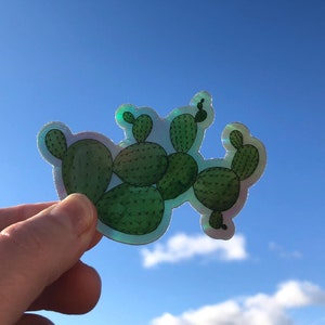 Pegatina holográfica de tuna, pegatina de vinilo impermeable para botella de agua, calcomanía para computadora portátil, decoración de cactus cottagecore, impresión de cactus, pegatina de naturaleza