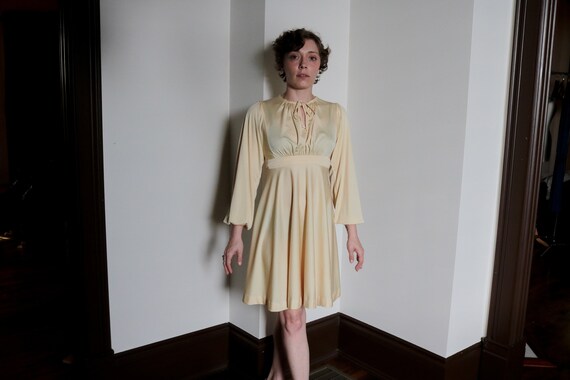 1970's Pastel Yellow Princess Cut Dress - image 1
