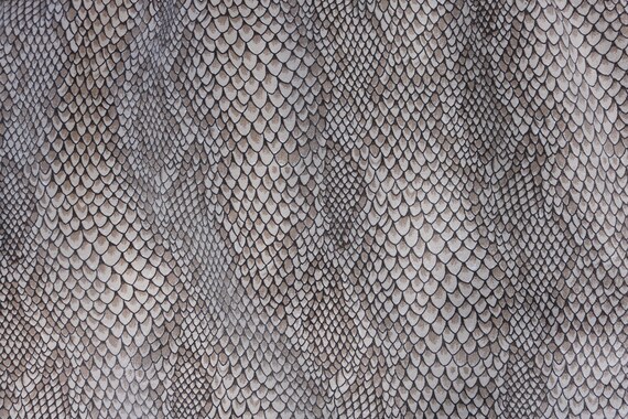 Snakeskin Print High Waisted Mini Skirt - image 2