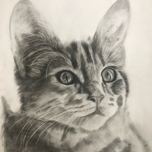 Original Hand drawing, Pet drawing, custom portrait drawing, charcoal portrait drawing from photo image 3