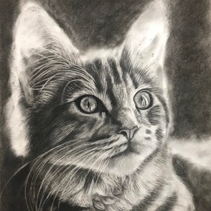 Original Hand drawing, Pet drawing, custom portrait drawing, charcoal portrait drawing from photo image 4