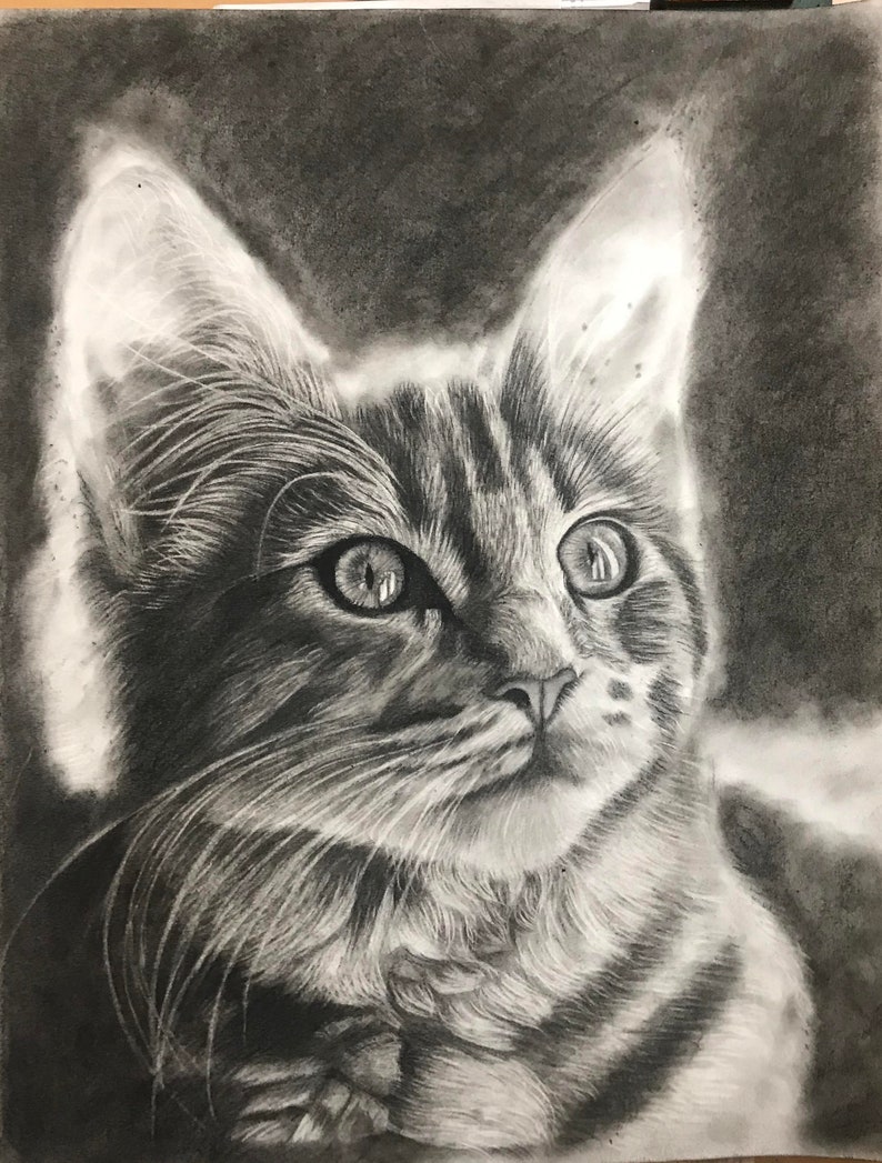 Original Hand drawing, Pet drawing, custom portrait drawing, charcoal portrait drawing from photo image 4