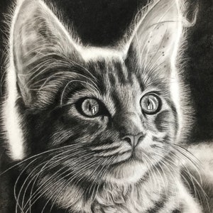 Original Hand drawing, Pet drawing, custom portrait drawing, charcoal portrait drawing from photo image 1